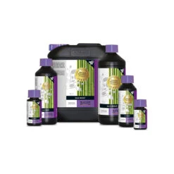 Atami Bcuzz Silic Boost