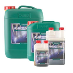 Canna Rhizotonic