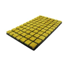 Cultilene Plug SBS 36/77 Anzuchtmatte 35 X 35 X 40 Mm