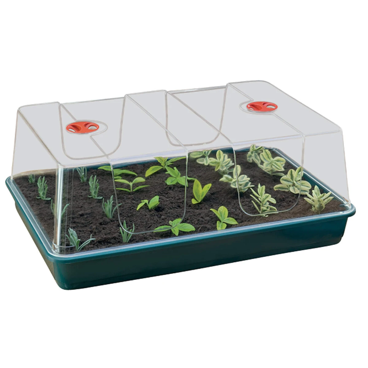 Garland High Dome XL Gewächshaus 1 Garland High Dome XL Gewächshaus