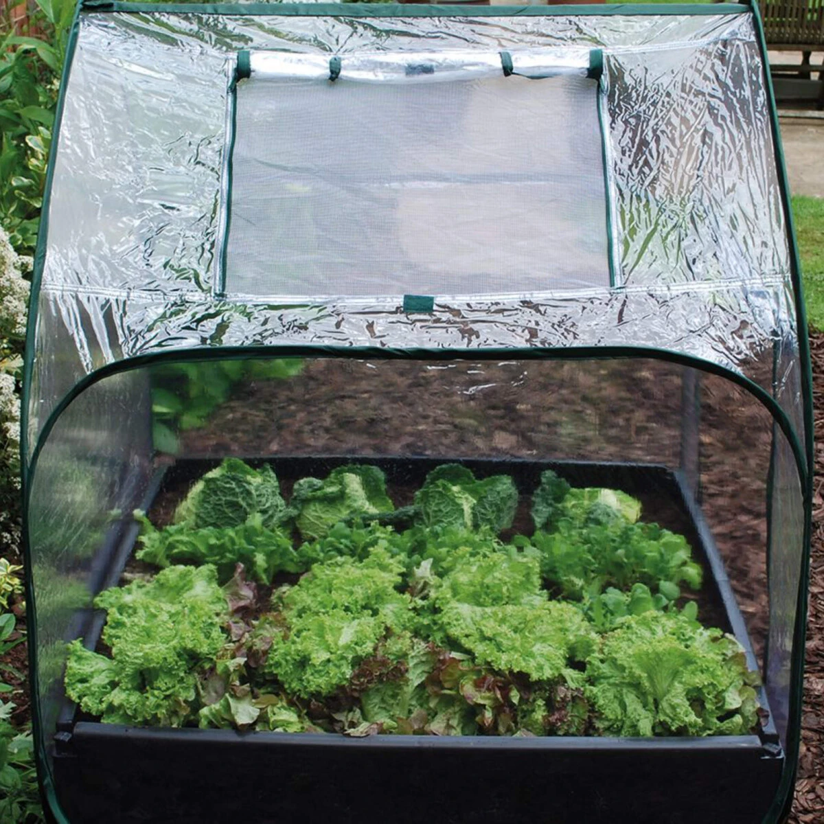 Garland Pop Up Gewächshaus Cover Für Hochbeet Maxi 97,5 X 97,5 Cm 2 Garland Pop Up Gewächshaus Cover Für Hochbeet Maxi 97,5 X 97,5 Cm – Bild 2