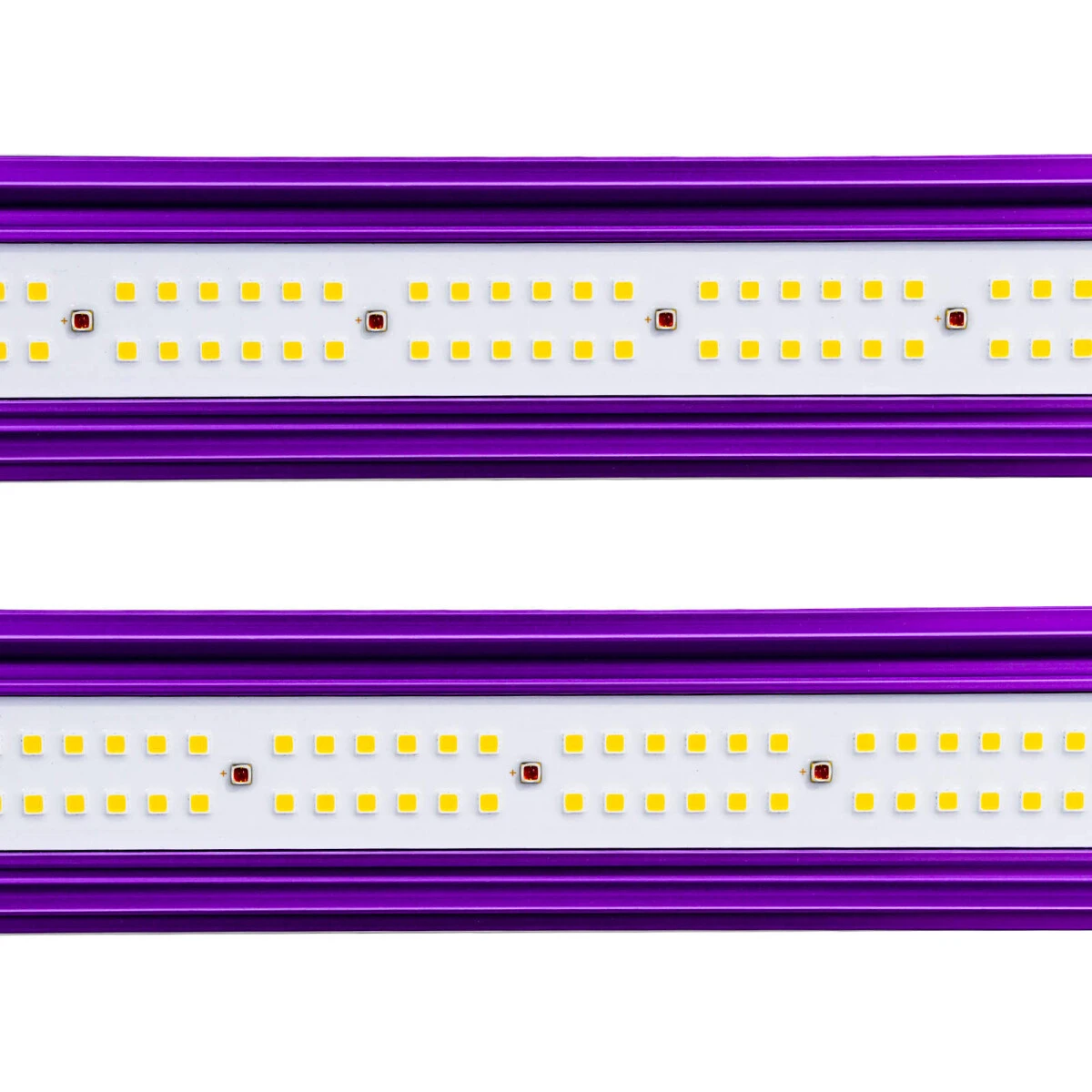 Lumatek Zeus 1000W Xtreme LED 2,9 6 Lumatek Zeus 1000W Xtreme LED 2,9 – Bild 6