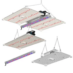 LUMii Black Blade LED