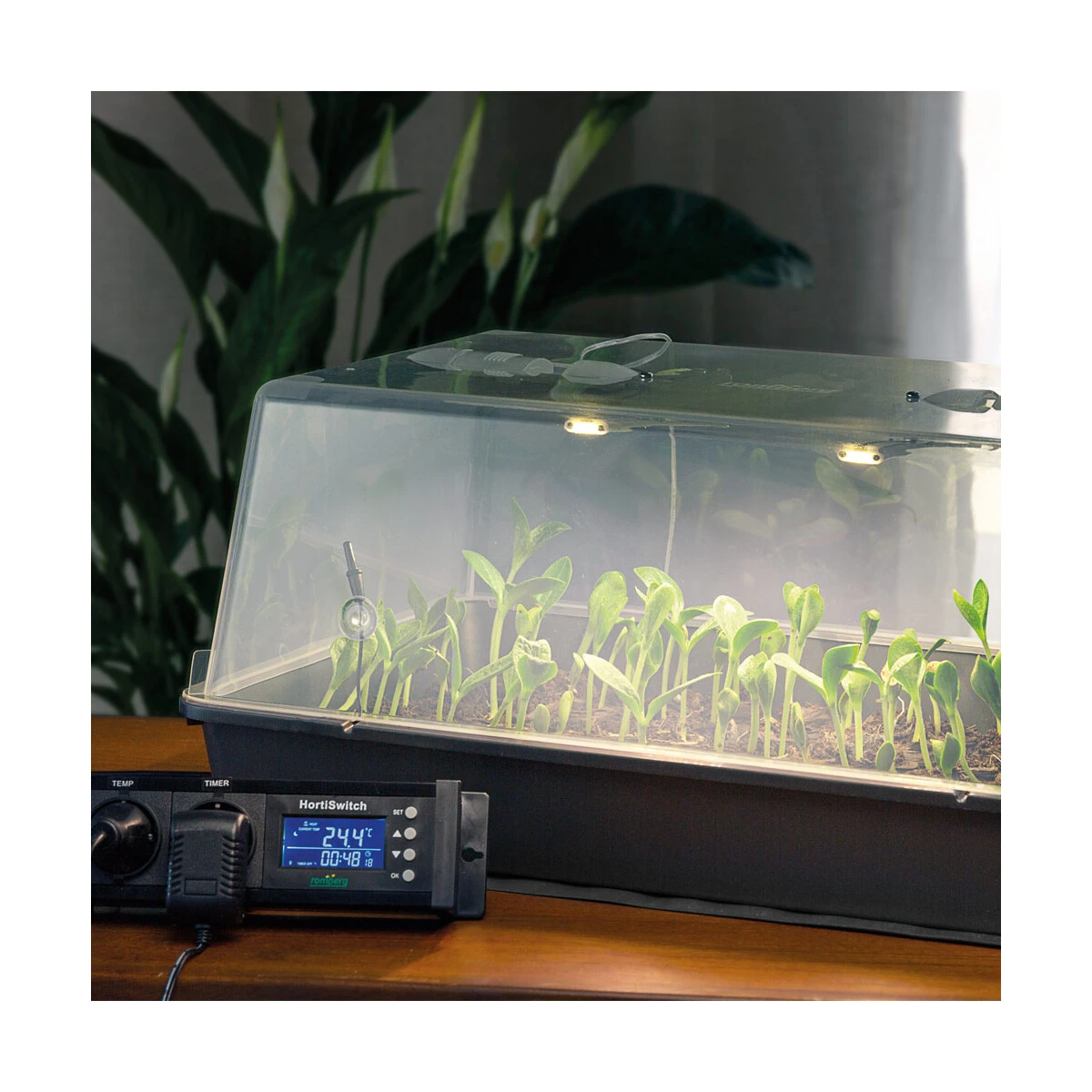 Romberg Maximus Complete 3.0 LED 5 Romberg Maximus Complete 3.0 LED – Bild 5