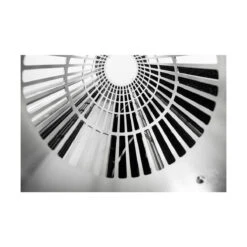 Sunflower Automatic Trimmer L - Wet -Ram Verkaufsgeschäft sunflower automatic trimmer l wet5