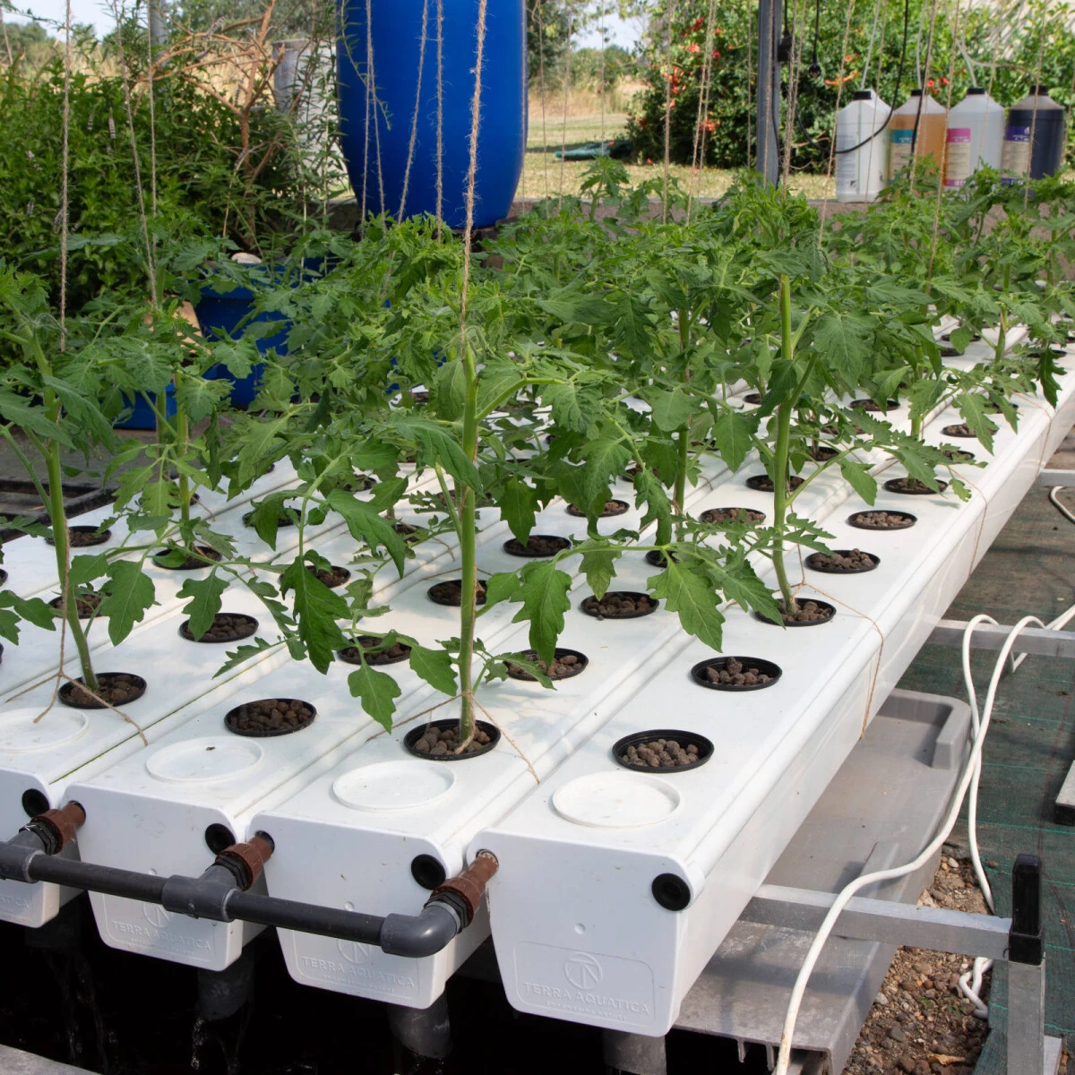 Terra Aquatica GrowStream V2 1 Terra Aquatica GrowStream V2